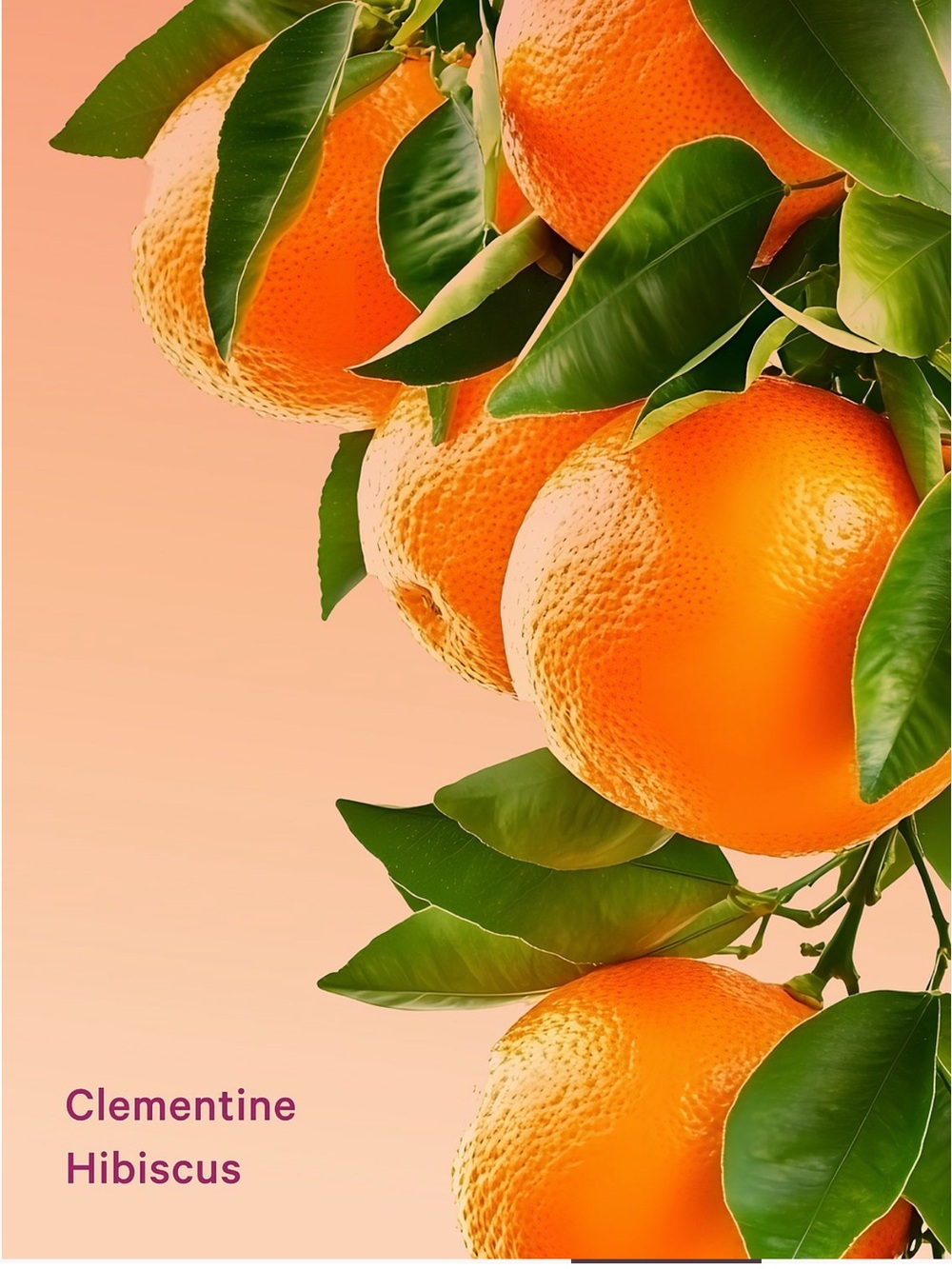 Victoria's Secret VSX Clementine Hibiscus Bath & Body Set - Orange - Picture 5 of 7